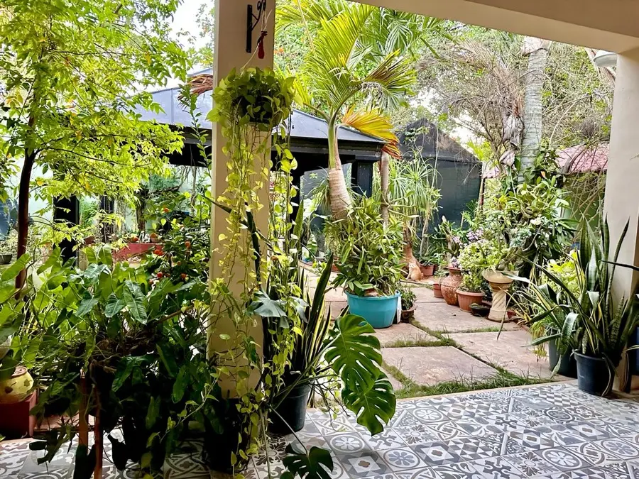 Vista alberca